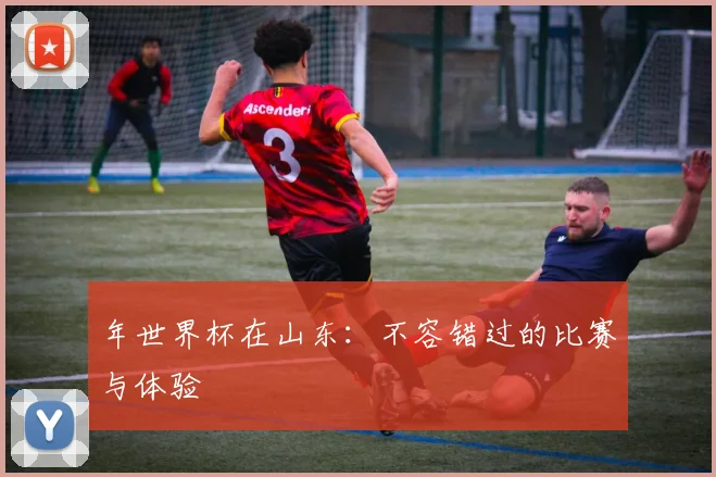 年世界杯在山东:不容错过的比赛与体验