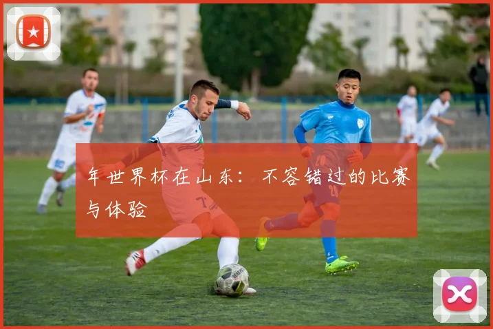 年世界杯在山东：不容错过的比赛与体验